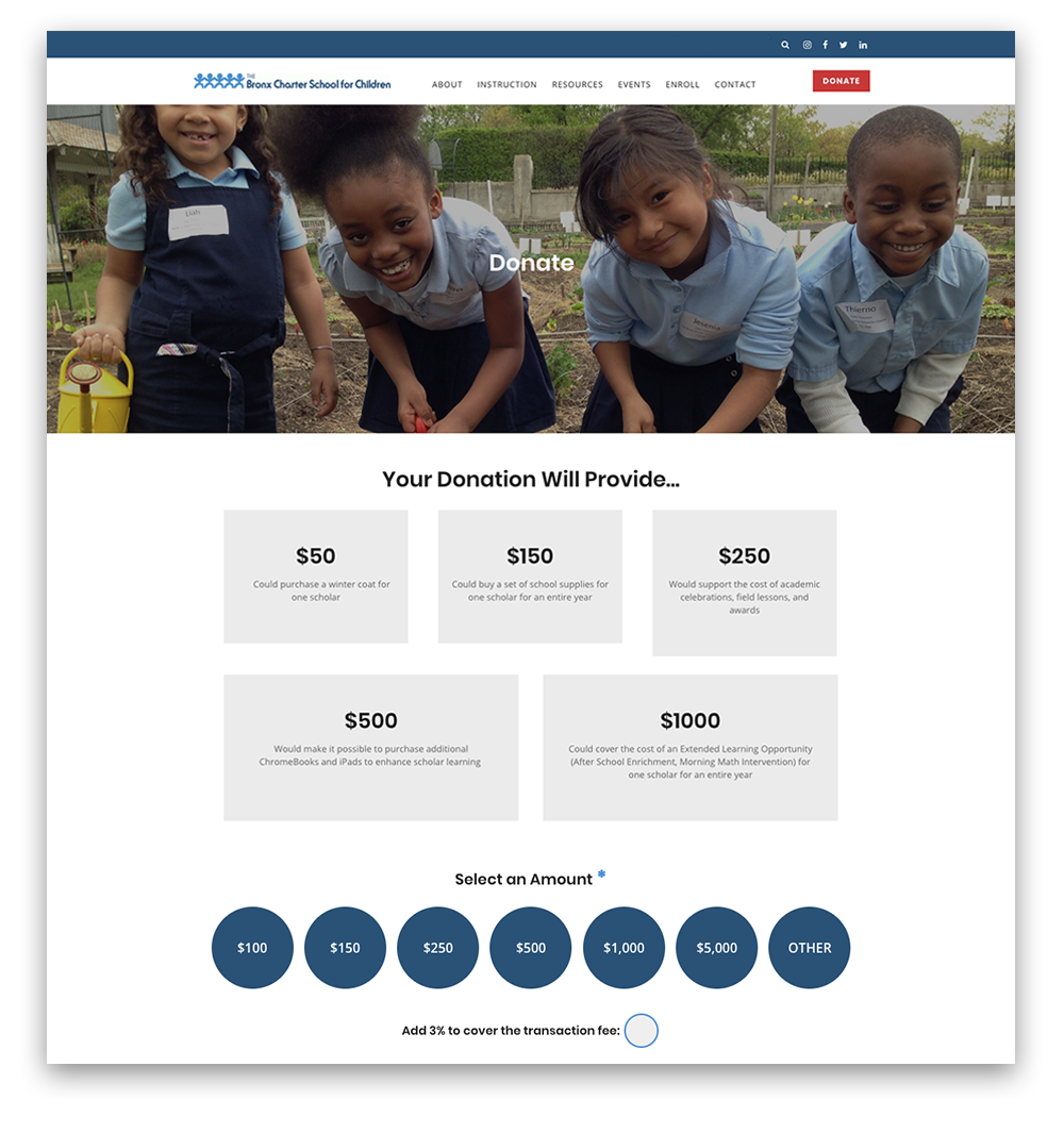 donation-page-design-tips-example.png
