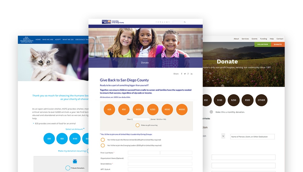 Organizations using Morweb have created effective donation page designs through their CMS platform.