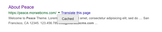 Example of cached website in Google search